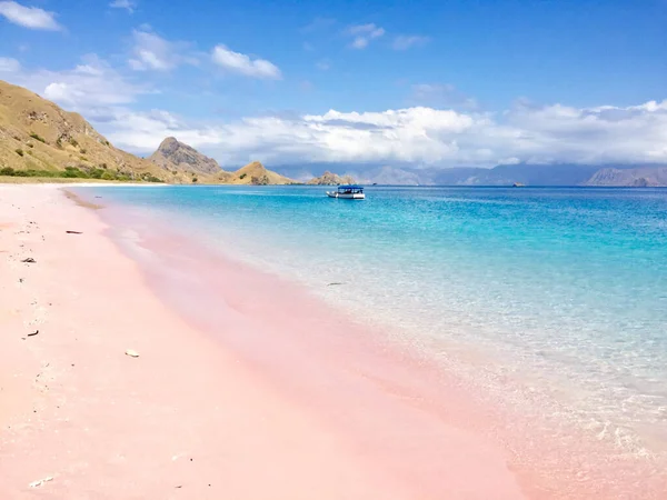 Pink Beach Padar Island Komodo Flores Indonesia Stok Lukisan  