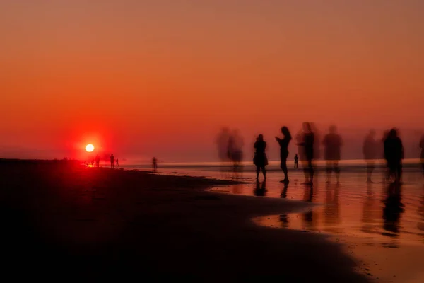 Lever Soleil Île Palms — Photo