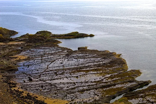 Ellie kayalıkları ve kayalıkları 