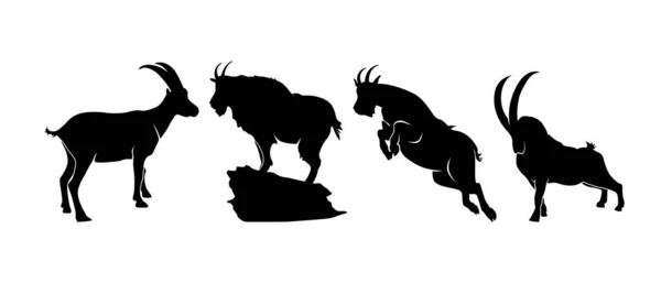 Koza Górska Ibex Chamois Sheep Capra Sylwetka Kolekcja Vector Design — Wektor stockowy