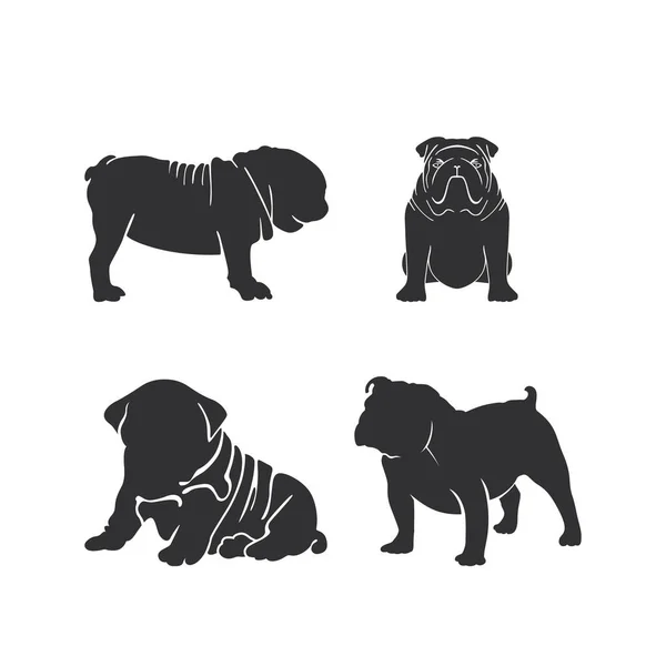 Bulldog Köpek Logosu Koleksiyon Vektör Tasarımı Lham Verici — Stok Vektör
