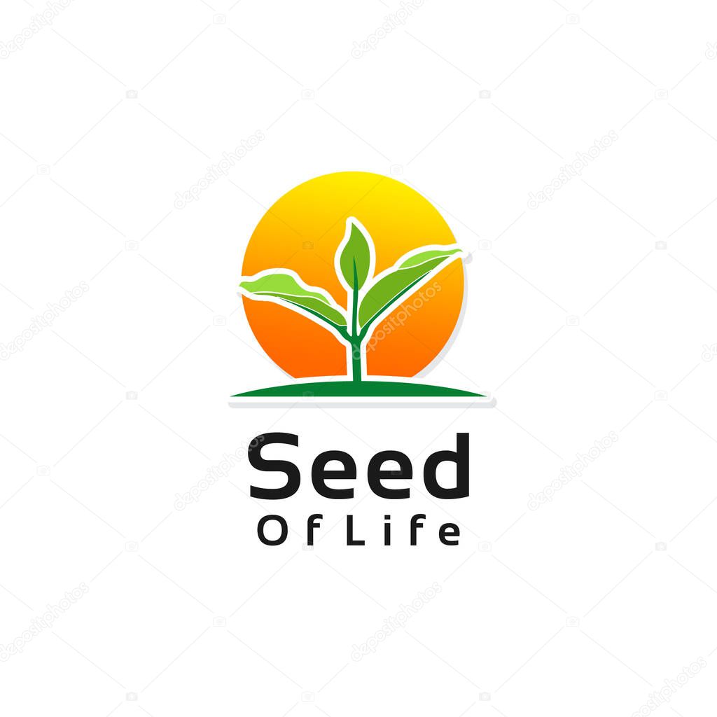 Growing Seeds Nature Ecology Logo For Plantation Agriculture Design Inspiration