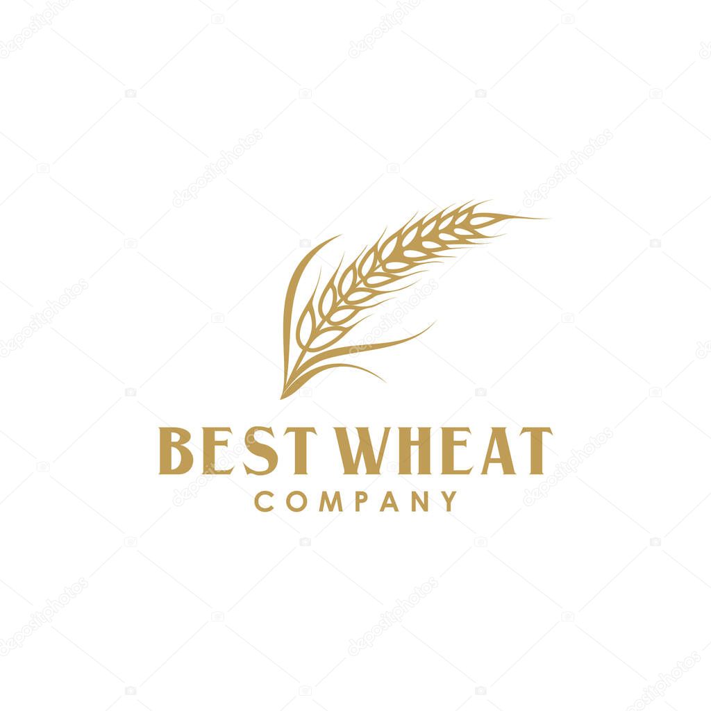 Golden Grain Wheat or Rice Logo Design Vector