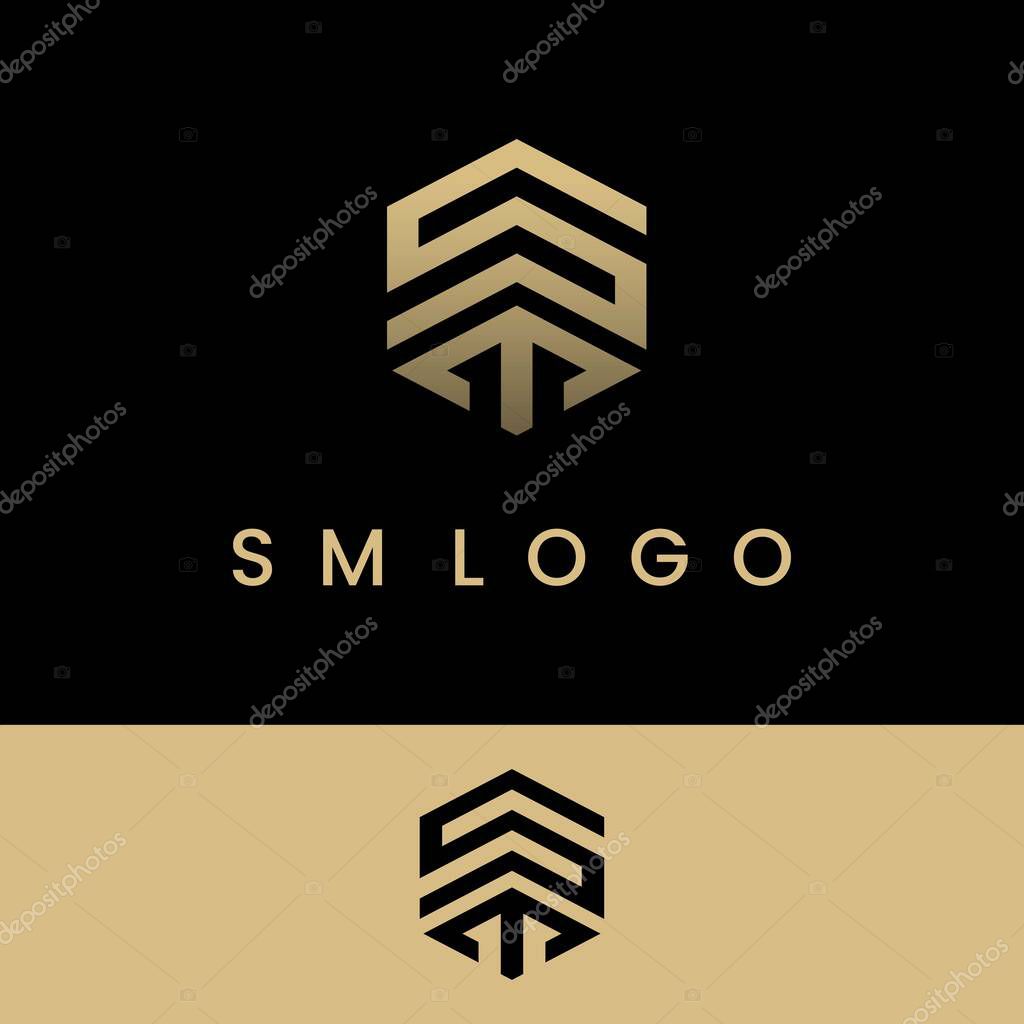 Initial SM or ST Hexagon Logo Elegant Luxury Design Inspiration