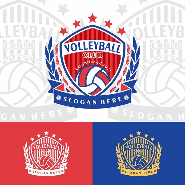 Insigne Logo Équipe Volley Ball Logo Sportif Américain — Image vectorielle
