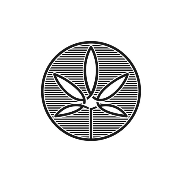 Κάνναβη Μαριχουάνα Φύλλα Cbd Λογότυπο Σχεδιασμό Έμπνευση — Διανυσματικό Αρχείο