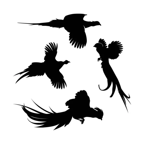Flying Pheasant Silhouette Set Diseño Inspiración — Vector de stock