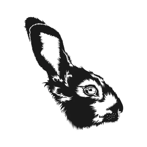 ウサギの頭の顔のスケッチベクトルデザインインスピレーション — ストックベクタ