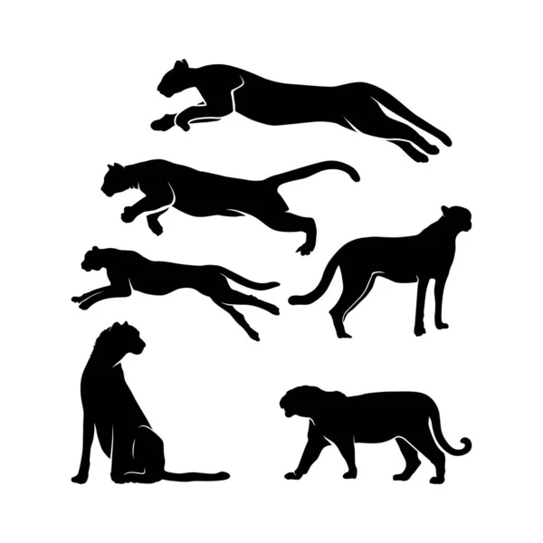 Cheetah Jaguar Puma Tiger Black Panther Silhouette Set Design Inspiration — Stock vektor