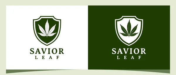 Cannabis Marijuana Leaf Λογότυπο Της Ασπίδας — Διανυσματικό Αρχείο