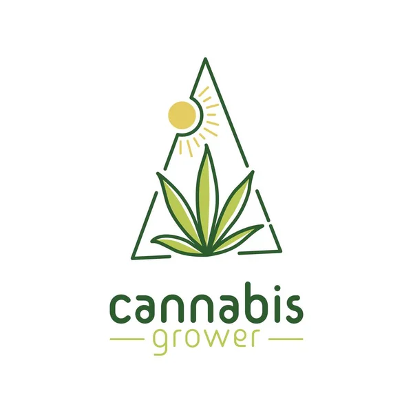 Marijuana Cannabis Leaf Sun Logo Design Simple Minimalist Grass Sunlight — Διανυσματικό Αρχείο