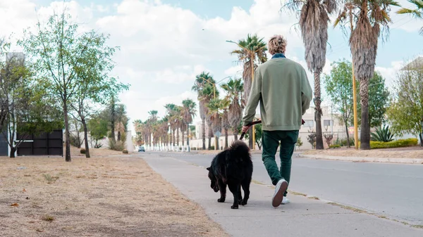 Blond Boy Green Sweater Briskly Walks His Black Dog Neighborhood 免版税图库图片