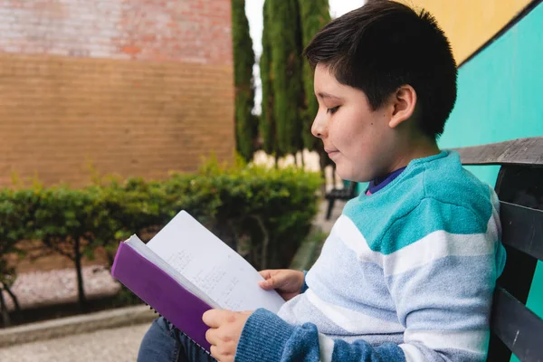 Boy in a blue sweater reading a purple book attentively with the park in the background. Boy in the park studying