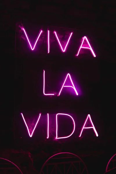 Sign Spanish Neon Light Text Viva Vida Neon Lights Sign — Fotografia de Stock