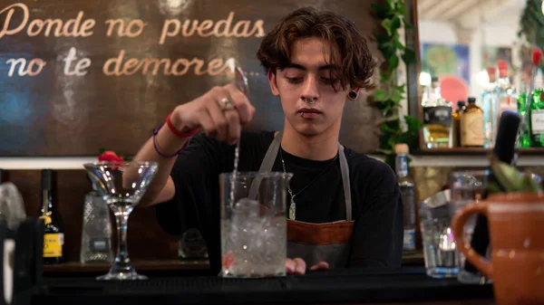 Bartender mixing a drink with ice at the bar counter. There are plants behind and a text. Waiter preparing a drink in a night club. Concentrated young bartender making a drink.