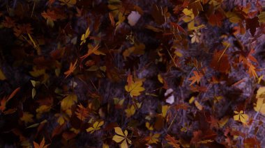 3D rendering. A night scene in the fall season with leaves falling on the ground in a forest. Autumn themed presentation template filled with colorful leaves.