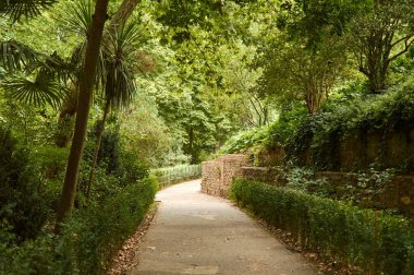 Granada 'daki Alhambra' ya ulaşmak için ağaçların ve bitkilerin olduğu yol.