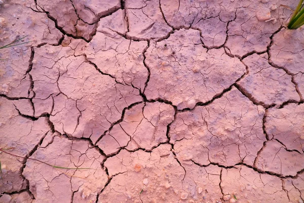 Dry cracked soil texture and background of ground. The cracked ground, Ground in drought, Soil texture and dry mud, Dry land.