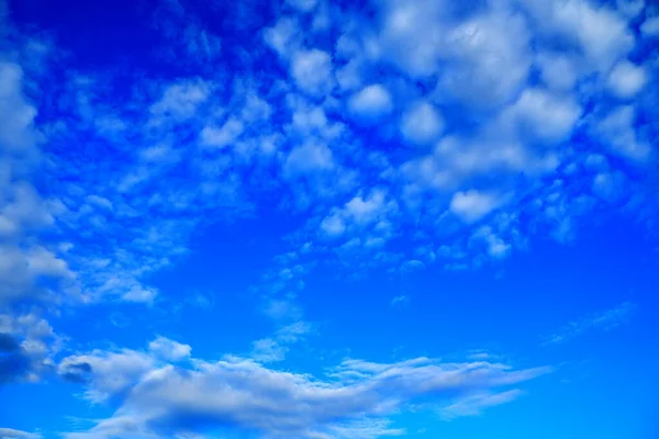 Cirrocumulus clouds against blue sky in sunny day. Beautiful clouds on deep blue sky background. Elegant white clouds in daylight after rain. Big glowing soft white fluffy clouds covered the blue sky.