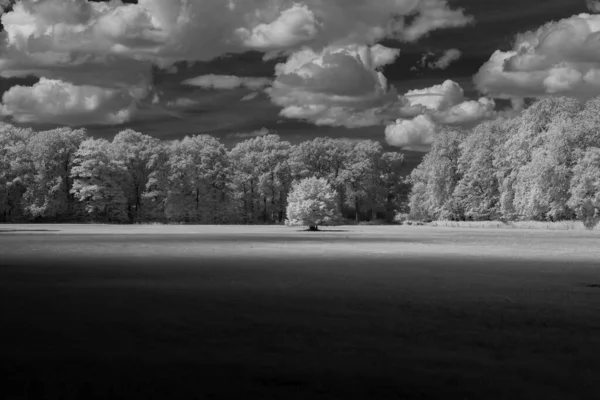 Black and white landscape, infrared colour