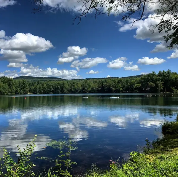 夏の日に美しい湖 — ストック写真