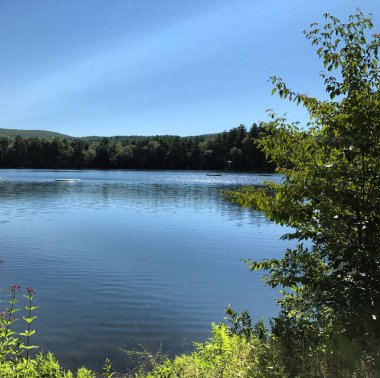 Göllü güzel bir manzara.
