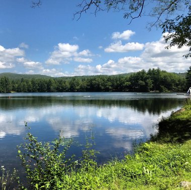 Güzel göl manzarası