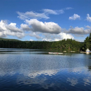 Gölü ve ormanı olan güzel bir yaz sahnesi