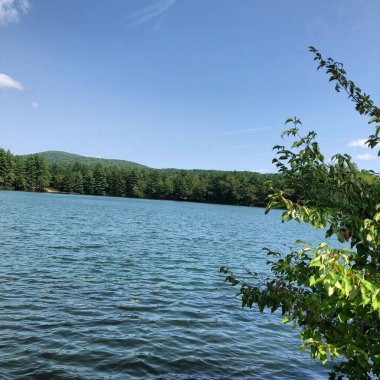 Göllü güzel bir manzara.