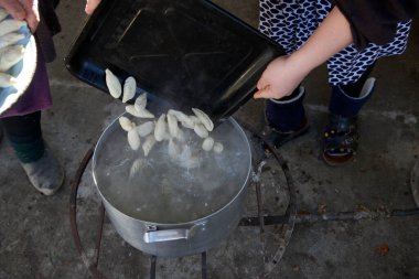 Gyurza adlı Azerbaycan ulusal mutfağından bir yemek. Gyurza 'da et ve hamurdan elde edilen geyik eti. Baştan sona pişirme aşaması.