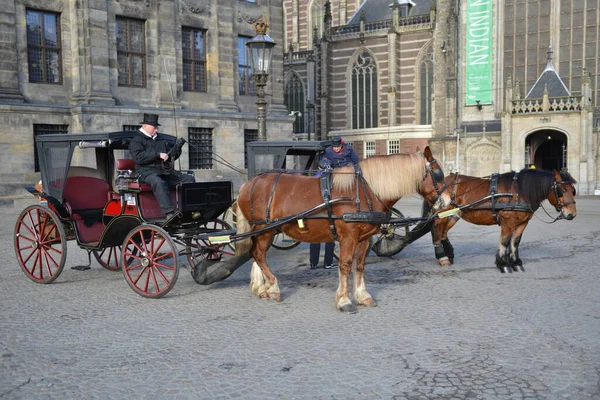 Central Square Amsterdam Pigeons Carriages Horses — Foto Stock