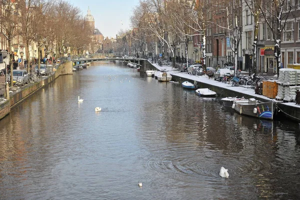 Winter in Amsterdam central river with floating birds swans