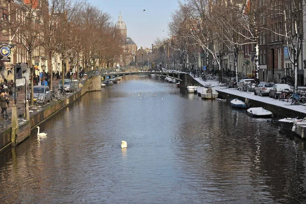 Winter Amsterdam Central River Floating Birds Swans — Stock fotografie