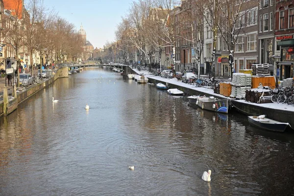 Зима Амстердамі Центральна Річка Лебедями — стокове фото