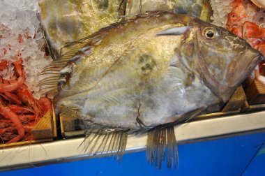 Seafood fresh rish  Italian see food