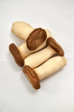 Japanese product Shiitake mushrooms for exotic cuisine