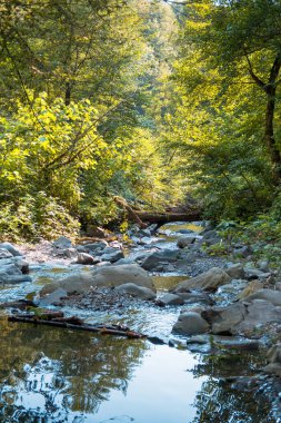 Caucasus mountains village in Balakan river Filiz Cay