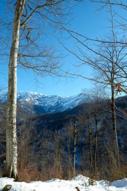 Winter in Azerbaijan Zagatala reserve border with Russia high in the mountains wild forest