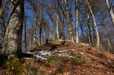 Winter in Azerbaijan Zagatala reserve border with Russia high in the mountains wild forest