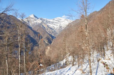 Winter in Azerbaijan Zagatala reserve border with Russia high in the mountains wild forest