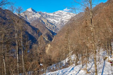 Winter in Azerbaijan Zagatala reserve border with Russia high in the mountains wild forest