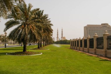 Beautiful views of Mosques in the United Arab Emirates Dubai