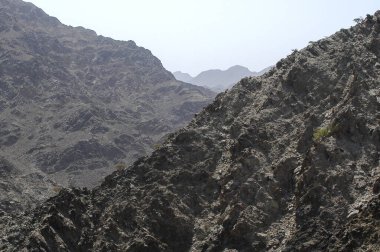 Mountain road in the Emirates desert road to Amalkiwain