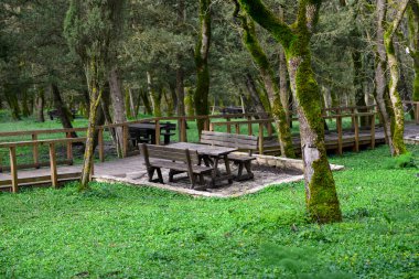 Gorgeous Italy island sicily city Alcamo beautiful views nature reserve on the mountain