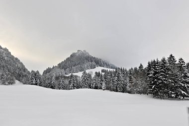 Beautiful Austrian scenery snowy road forest mountains Austria in winter
