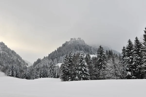 Beautiful Austrian Scenery Snowy Road Forest Mountains Austria Winter — Zdjęcie stockowe