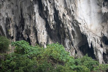 Incredible beautiful places in Malaysia wild forest