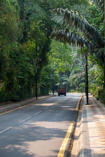 Απίστευτο Όμορφα Μέρη Στη Μαλαισία Άγριο Δάσος — Φωτογραφία Αρχείου