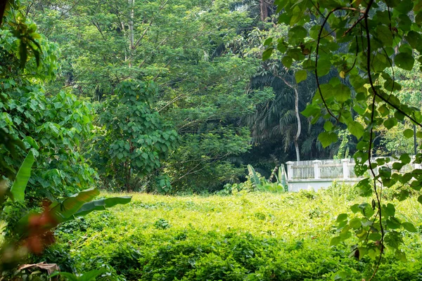 Incredible Beautiful Places Malaysia Wild Forest Rocks Town Chinatown Called — Stock Photo, Image