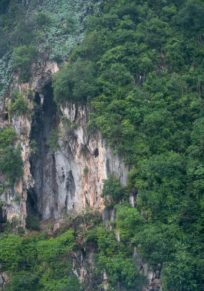 Malaysia Jungle Wild Forest Nature Beautiful Places — Fotografia de Stock